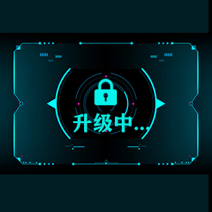 胎盤、臍帶與胎兒內(nèi)臟模型